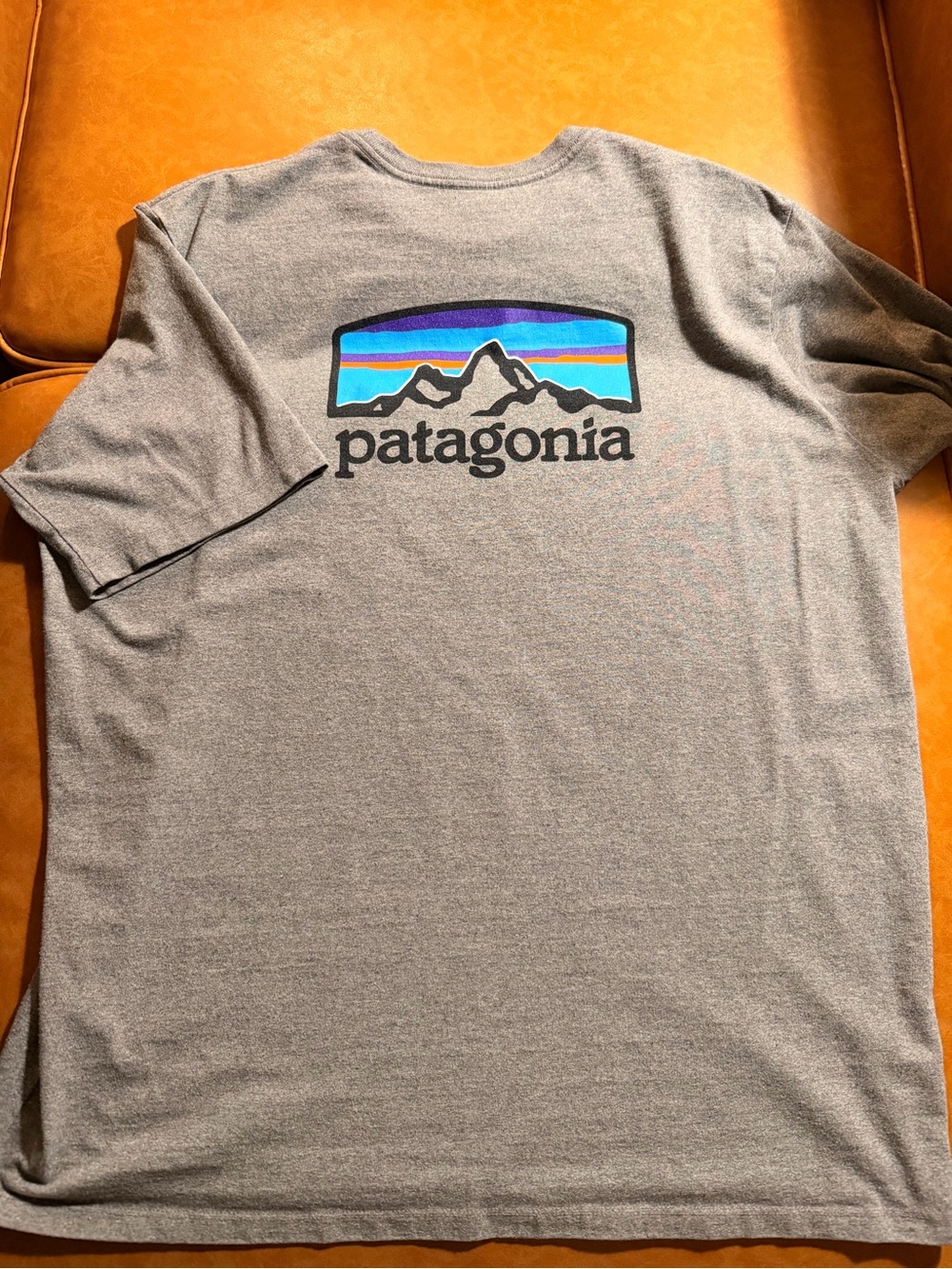 Patagonia Gray Graphic Tee